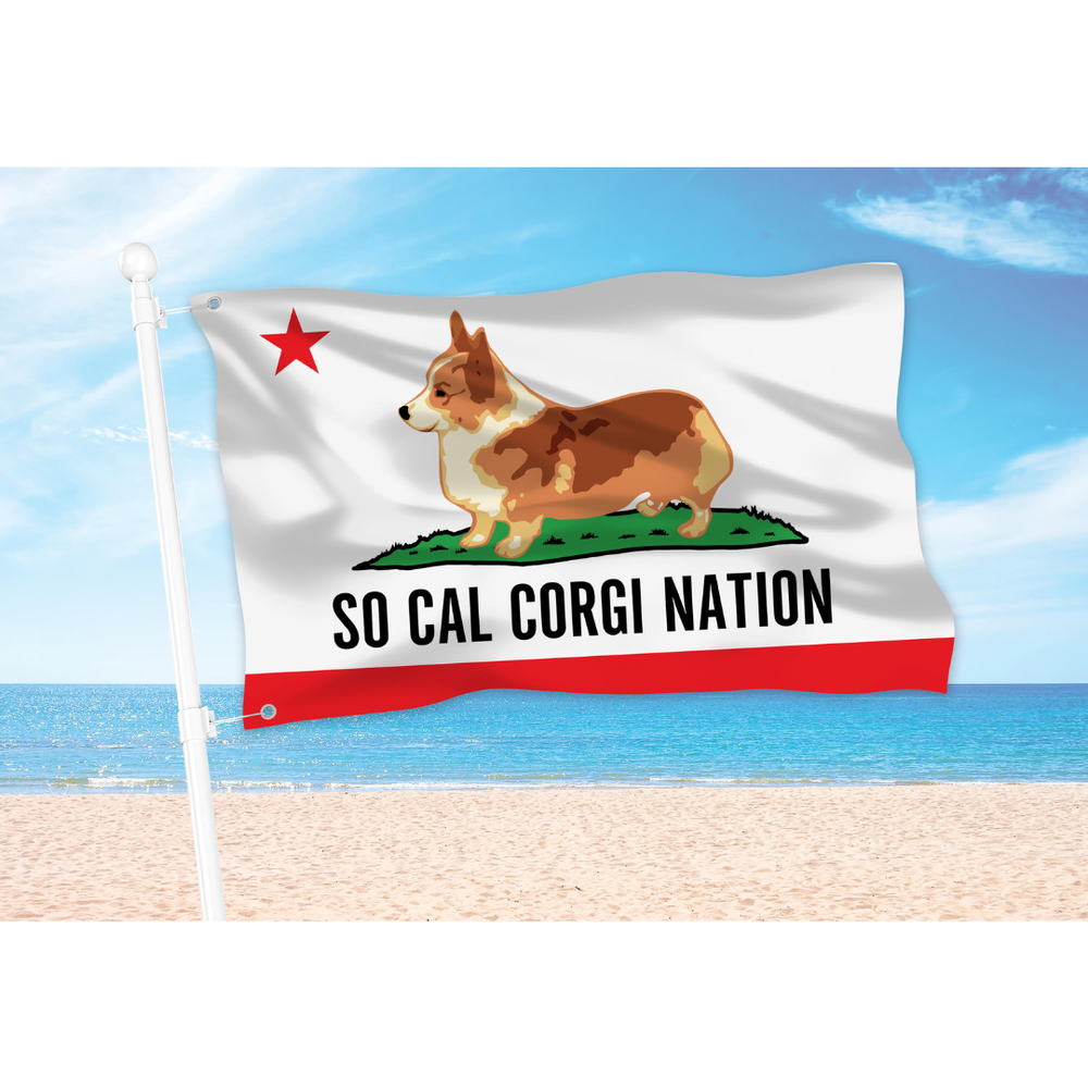 SCCN+FLAG.png?format=1000w